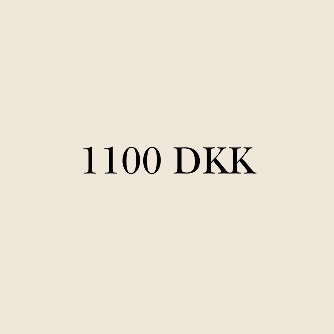 1100 DKK